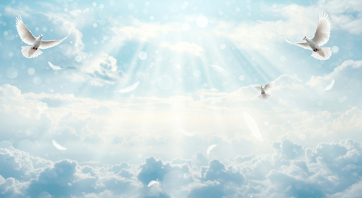 JPG 구름 편집이미지 자연 하늘 풍경 빛 햇빛 평화 고요 자유 비둘기 만개 뷰티풀 편집실사 AI컴퓨터그래픽 AI콘텐츠 자연요소 컨셉 조류 태양 CG 생태계 파일형식