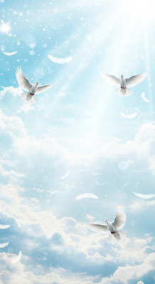 JPG 구름 편집이미지 여유 자연 하늘 밝음 풍경 파란색 햇빛 평화 꿈 자유 비행 호흡 비둘기 편집실사 AI컴퓨터그래픽 AI콘텐츠 자연요소 감정 컬러 컨셉 조류 태양 CG 생태계 파일형식