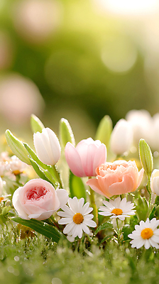 JPG 식물 편집이미지 꽃 컬러 자연 햇빛 장미 정원 봄 튤립 데이지 향기 화사함 뷰티풀 편집실사 AI포토 AI콘텐츠 계절 컨셉 태양 CG 생태계 냄새 파일형식