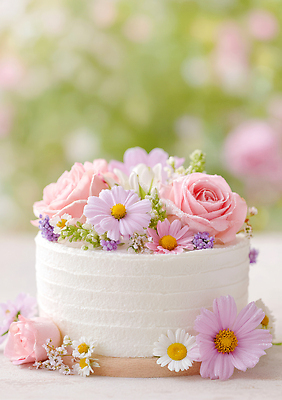 JPG 편집이미지 꽃 디저트 장식 햇빛 장미 파티 케이크 정원 생일 달콤 크림 데이지 향기 파스텔 생화 편집실사 AI포토 AI콘텐츠 식물 기념일 음식 학용품 이벤트 태양 맛 CG 냄새 파일형식