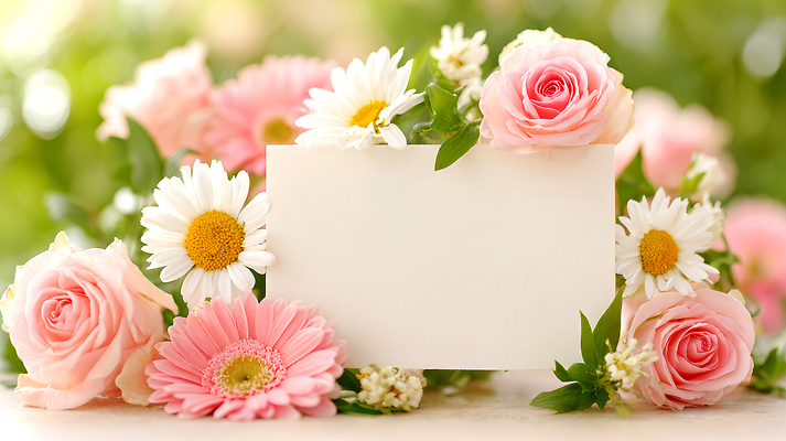 JPG 편집이미지 꽃 컬러 자연 사랑 장식 장미 포근함 시작 감사 데이지 초대장 화사함 순간 편집실사 AI포토 AI콘텐츠 카드프레임 식물 감정 컨셉 카드_감사 프레임 감각 CG 생태계 파일형식
