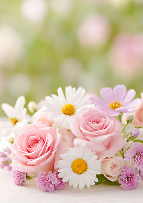 JPG 편집이미지 꽃 분홍색 컬러 꽃다발 봄꽃 자연 장미 화환 봄 흰색 분위기 데이지 향기 뷰티풀 산뜻 편집실사 AI포토 AI콘텐츠 식물 계절 컨셉 CG 생태계 냄새 파일형식