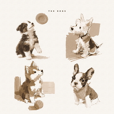 PSD 동물 행복 컬러 포즈 일러스트 공 놀이 사랑 친구 반려동물 귀여움 표현 강아지 포근함 장면 조화 착함 순간 국내일러스트 감정 컨셉 관계 감각 개 성격 파일형식