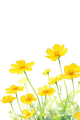 JPG 식물 계절 꽃잎 꽃 일러스트 자연 생명 풍경 초록색 여름 햇빛 정원 봄 생태계 화단 화사함 금계국 뷰티풀 여의도 특징 국내일러스트 AI일러스트 AI콘텐츠 컬러 컨셉 서울 태양 파일형식