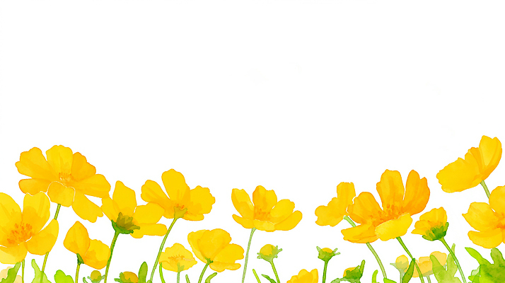 JPG 식물 계절 꽃 컬러 백그라운드 꽃밭 일러스트 자연 풍경 여름 햇빛 노란색 정원 성장 관찰 분위기 화사함 금계국 뷰티풀 생동감 국내일러스트 AI일러스트 AI콘텐츠 컨셉 모션 태양 생태계 파일형식