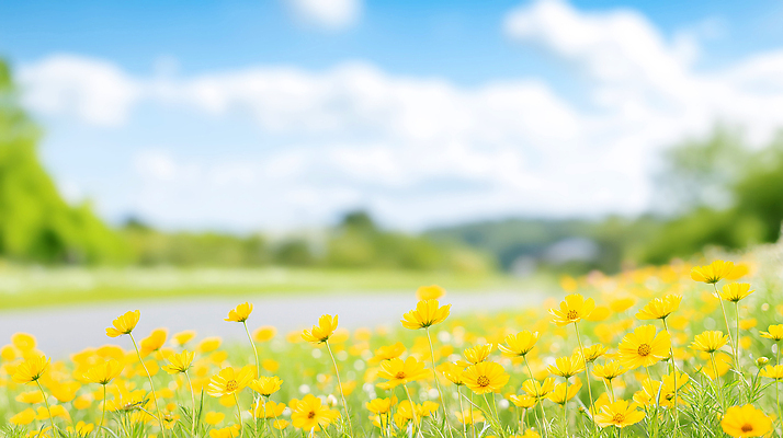 JPG 편집이미지 공원 꽃 꽃밭 자연 하늘 풍경 여름 파란색 노란색 맑음 산책 보행자 즐거움 뷰티풀 편집실사 AI포토 AI콘텐츠 식물 계절 공공시설 감정 컬러 날씨 휴식 CG 생태계 파일형식