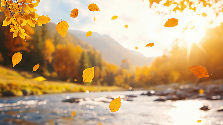 JPG 나무 편집이미지 잎 자연 바람 풍경 물 강 햇빛 노란색 평화 흐름 에너지 가을 숲 뷰티풀 색감 오후 화창 편집실사 AI포토 AI콘텐츠 자연요소 식물 계절 컬러 컨셉 날씨 태양 CG 생태계 파일형식