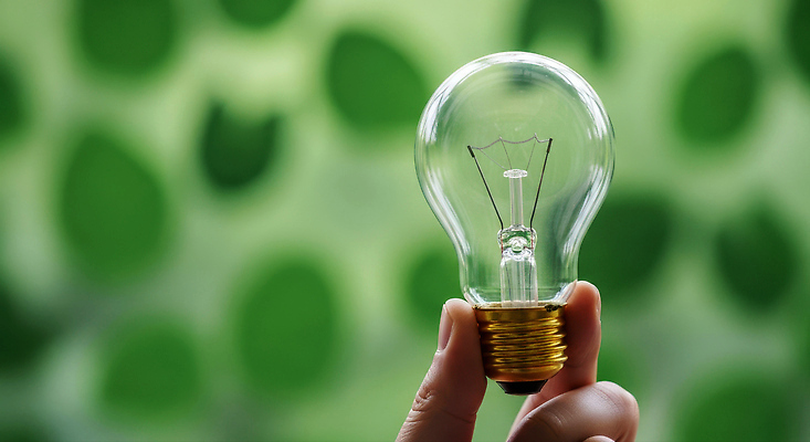 JPG 모양 편집이미지 손 디자인 컬러 백그라운드 잎 패턴 전구 자연 아이디어 초록색 빛 투명 전기에너지 창의성 편집실사 AI인물포토 AI콘텐츠 식물 컨셉 무늬 신체부위 에너지 CG 생태계 파일형식 AI포토