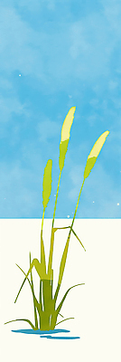 JPG 식물 일러스트 자연 하늘 생명 날씨 건강 풍경 초록색 여름 햇빛 새싹 평화 환경 성장 땅 뷰티풀 국내일러스트 AI일러스트 AI콘텐츠 계절 컬러 컨셉 태양 생태계 파일형식