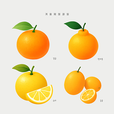 PSD 계절 음식 상징 겨울 과일 일러스트 자연 귤 건강 농작물 상큼 비타민 색감 유자 제철 국내일러스트 농업 생태계 영양소 파일형식