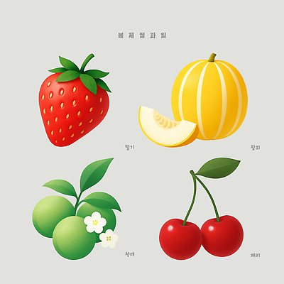 PSD 디자인 컬러 과일 일러스트 자연 딸기 신선 원형 체리 멜론 그림 청포도 디지털아트 국내일러스트 도형 포도 생태계 파일형식