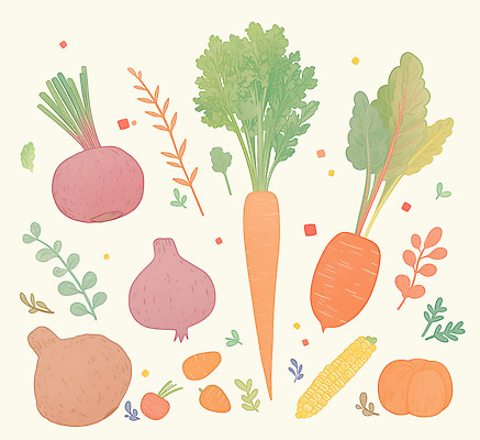 PSD 식물 디자인 예술 컬러 채소 일러스트 자연 호박 양파 건강 옥수수 요리 농작물 식사 당근 신선 무 식단 국내일러스트 영양군 농업 곡류 뿌리채소 경상북도 생태계 파일형식