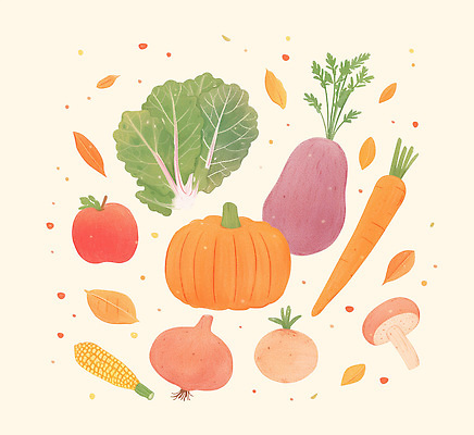 PSD 식물 음식 컬러 농업 채소 과일 일러스트 자연 호박 건강 요리 미술 식사 버섯 당근 수확 가을 신선 사과 배추 유기농 국내일러스트 웰빙 계절 산업 문화예술 뿌리채소 생태계 파일형식