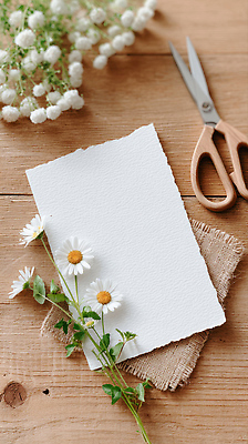 JPG 편집이미지 꽃 자연 가위 장식 여름 편안함 허브 그림 소재 수공예 나무탁자 순간 창작 편집실사 AI포토 AI콘텐츠 식물 계절 탁자 문구용품 감각 공예 CG 생태계 파일형식