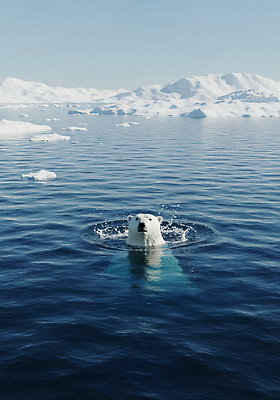 JPG 편집이미지 야생동물 바다 겨울 자연 풍경 물 환경 얼음 수영 극지방 북극 백곰 편집실사 AI컴퓨터그래픽 AI콘텐츠 자연요소 동물 계절 곰 수상스포츠 CG 생태계 지역 파일형식