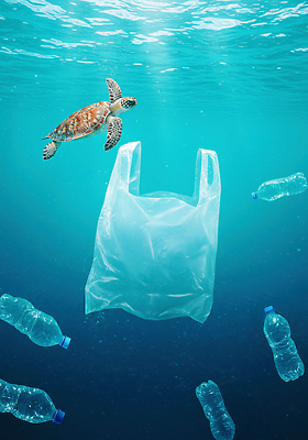 JPG 편집이미지 지구 바다 비닐봉투 자연보호 수중 수중동물 오염 보호 플라스틱 바다거북 플라스틱병 해양오염 편집실사 AI컴퓨터그래픽 AI콘텐츠 동물 컨셉 자연 재질 봉투 환경오염 거북이 CG 병_담는 파일형식