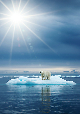 JPG 동물 편집이미지 바다 포유류 자연 풍경 파란색 햇빛 환경 얼음 북극 생태계 북극곰 빙하 고립 해수면 편집실사 AI컴퓨터그래픽 AI콘텐츠 자연요소 컬러 곰 태양 극지방 CG 파일형식