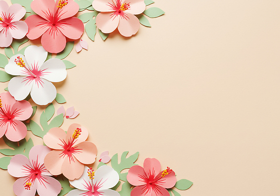 JPG 식물 편집이미지 디자인 예술 분홍색 컬러 백그라운드 장식 흰색 그림 수공예 베이지색 생동감 종이꽃 창의성 편집실사 AI포토 AI콘텐츠 꽃 공예 CG 파일형식