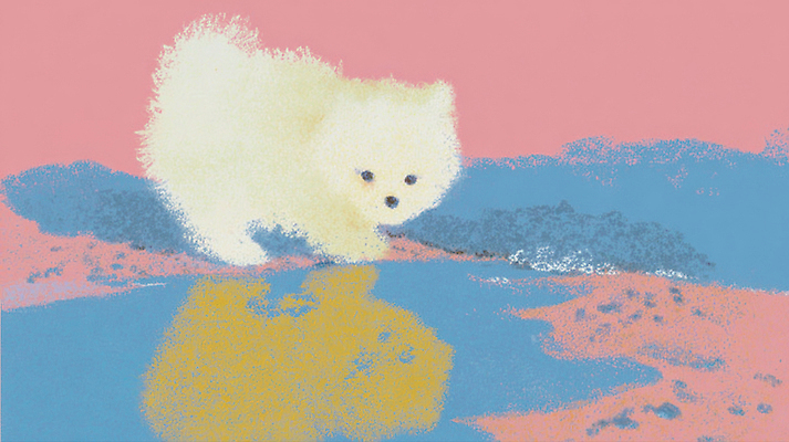 JPG 동물 일러스트 자연 놀이 털 물 반짝임 반려동물 반사 평화 걷기 귀여움 정원 시세 강아지 호기심 색감 국내일러스트 AI일러스트 AI콘텐츠 자연요소 감정 컨셉 모션 금융 개 생태계 파일형식