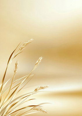 JPG 식물 편집이미지 여유 컬러 백그라운드 자연 햇빛 평화 풀 분위기 흔들림 부드러움 뷰티풀 편집실사 AI컴퓨터그래픽 AI콘텐츠 감정 컨셉 모션 태양 감각 CG 생태계 파일형식