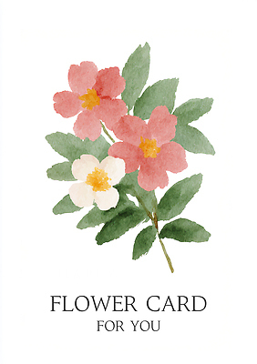 PSD 식물 디자인 기념일 꽃 예술 분홍색 잎 일러스트 자연 수채화 선물 사랑 장식 흰색 축하 메시지 인사말 원예 뷰티풀 국내일러스트 카드프레임 감정 컬러 컨셉 프레임 이벤트 취미 생태계 파일형식