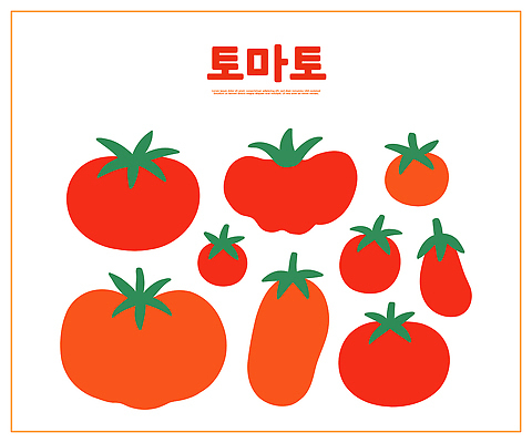 모양 식물 디자인 컬러 토마토 채소 일러스트 재료 자연 건강 요리 여름 농작물 신선 시장 제조 크기 배열 그림 먹거리 국내일러스트 AI파일 계절 음식 농업 생태계 파일형식 벡터