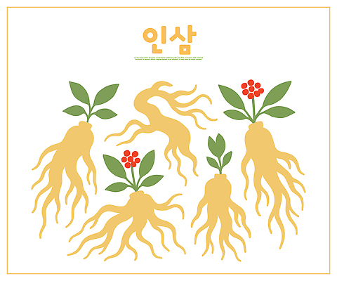 식물 전통 꽃 농업 일러스트 자연 생물 한국 건강 식이요법 환경 농사 인삼 약초 허브 뿌리 천연 국내일러스트 AI파일 영양군 산업 아시아 풀_식물 삼 경상북도 생태계 파일형식 벡터