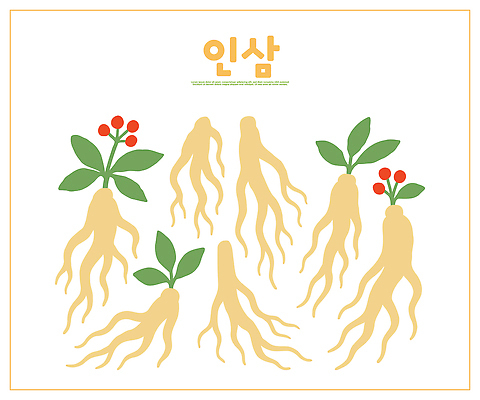 식물 전통 디자인 열매 음식 잎 농업 일러스트 자연 한국 건강 미술 전시 약재 인삼 유기농 생태계 뿌리 조화 색채 국내일러스트 AI파일 웰빙 산업 아시아 문화예술 약 삼 파일형식 벡터