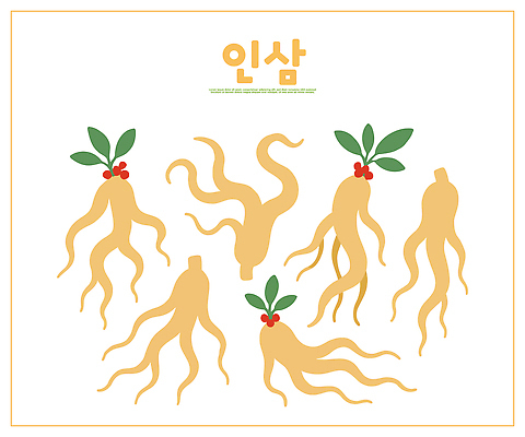 식물 전통 열매 잎 농업 일러스트 자연 한국 건강 흙 수확 약재 인삼 한약 유기농 뿌리 천연 비타민 국내일러스트 AI파일 영양군 웰빙 산업 아시아 약 삼 경상북도 생태계 영양소 파일형식 벡터