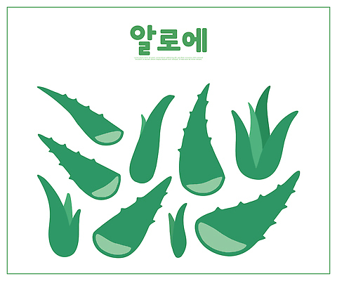모양 식물 디자인 잎 농업 일러스트 자연 건강 그래픽 치료 초록색 환경 크기 배열 식물원 이미지 알로에 국내일러스트 AI파일 산업 컬러 의학 생태계 파일형식 벡터