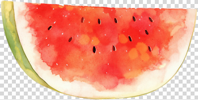 편집이미지 디자인 컬러 조각 과일 자연 수채화 수박 건강 그래픽 여름 신선 맛 원예 PNG 밝은색 계절 컨셉 취미 생태계 파일형식