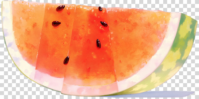 편집이미지 컬러 조각 과일 자연 탁자 디저트 수박 여름 식사 신선 열대과일 수박씨 PNG 과일샐러드 계절 음식 가구 씨앗 샐러드 생태계 파일형식