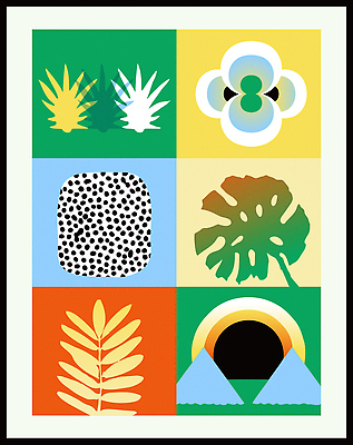 모양 식물 디자인 예술 컬러 패턴 일러스트 자연 추상 그래픽 컬러풀 전시 기하학 조화 몬스테라 창의성 국내일러스트 AI파일 무늬 생태계 파일형식 벡터