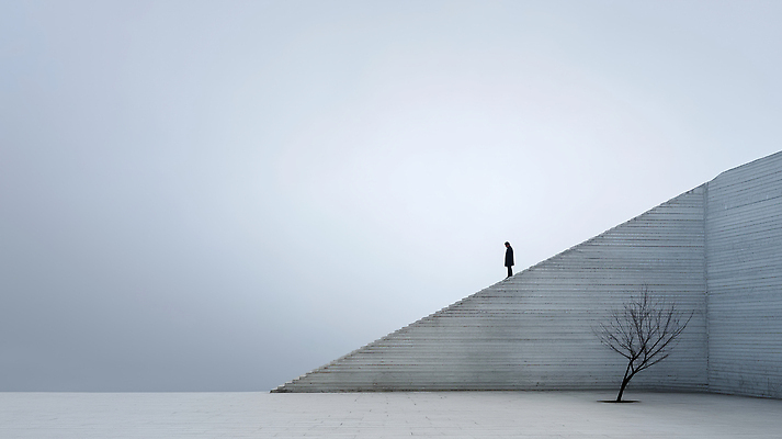 JPG 나무 편집이미지 디자인 현대건축 예술 서울 사람 경사 도시 고독 심플 감성 조화 스토리 의료성형뷰티 편집실사 AI포토 AI인물포토 AI콘텐츠 식물 건축 감정 컨셉 한국 CG 파일형식