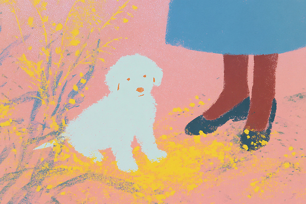 JPG 행복 감정 일러스트 자연 털 사랑 소녀 친구 반려동물 컬러풀 평화 귀여움 산책 흰색 강아지 추억 즐거움 외출 국내일러스트 AI일러스트 동물 여자 어린이 컬러 컨셉 관계 휴식 개 생태계 파일형식 AI콘텐츠