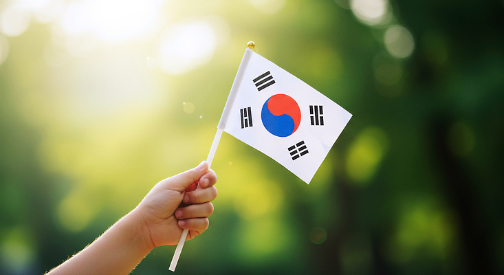 JPG 나무 편집이미지 전통 손 기념일 행복 문화 어린이 상징 자연 한국 손잡이 파란색 햇빛 축제 국기 의료성형뷰티 편집실사 AI포토 AI인물포토 AI콘텐츠 식물 감정 아시아 컬러 사람 이벤트 신체부위 태양 CG 생태계 파일형식