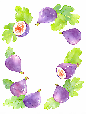 JPG 식물 디자인 예술 과일 일러스트 자연 나뭇잎 수채화 장식 신선 원형 배열 무화과 뷰티풀 색감 생동감 국내일러스트 AI일러스트 AI콘텐츠 도형 잎 생태계 파일형식