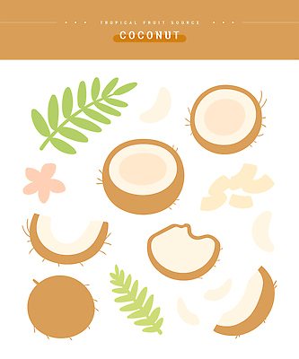 식물 디자인 음식 컬러 섬 과일 일러스트 재료 자연 건강 자르기 열대과일 그림 코코넛 생동감 특징 트로피컬아트 국내일러스트 AI파일 영양군 모션 경상북도 생태계 파일형식 벡터