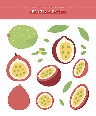 식물 디자인 음식 컬러 과일 일러스트 식재료 자연 디저트 건강 요리 씨앗 여름 식사 신선 열대과일 상큼 비타민 과즙 패션후르츠 국내일러스트 AI파일 영양군 계절 경상북도 생태계 영양소 파일형식 벡터