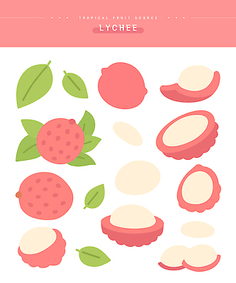 모양 식물 디자인 음식 컬러 잎 과일 일러스트 자연 건강 신선 달콤 배열 열대과일 조화 리치 색감 국내일러스트 AI파일 맛 생태계 파일형식 벡터