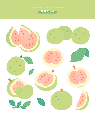 식물 디자인 컬러 과일 일러스트 자연 디저트 건강 요리 신선 스케치 열대과일 유기농 질감 구아바 디지털아트 스타일 국내일러스트 AI파일 웰빙 음식 미술 생태계 파일형식 벡터