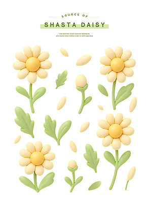 PSD 식물 편집이미지 디자인 꽃 잎 자연 그래픽 장식 노란색 정원 봄 화사함 뷰티풀 색감 샤스타데이지 편집3D 계절 컬러 컨셉 3D 생태계 파일형식