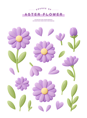 PSD 식물 편집이미지 디자인 꽃잎 꽃 컬러 꽃다발 잎 자연 국화 정원 자주색 아스터 편집3D 3D 생태계 파일형식