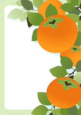 나무 컬러 잎 농업 과일 일러스트 자연 건강 밝음 감 풍경 장식 여름 농작물 수확 신선 과수원 과일나무 비타민 국내일러스트 AI파일 식물 계절 산업 생태계 영양소 파일형식 벡터