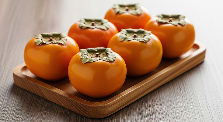 JPG 나무 편집이미지 음료 음식 과일 자연 디저트 귤 쟁반 건강 수확 신선 배열 비타민 색감 편집실사 AI포토 AI콘텐츠 식물 농업 CG 생태계 영양소 파일형식