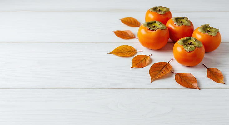 JPG 식물 편집이미지 사계절 계절 음식 겨울 과일 자연 건강 감 장식 주황색 전시 감나무 나무탁자 편집실사 AI포토 AI콘텐츠 나무 컬러 탁자 CG 생태계 파일형식