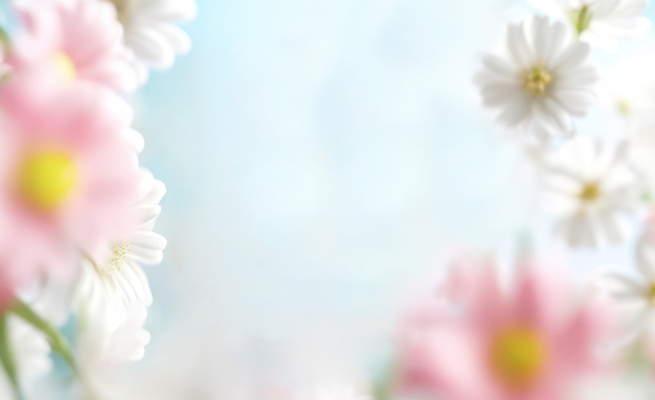 JPG 식물 편집이미지 꽃 꽃밭 자연 생명 풍경 잔디 햇빛 봄 화사함 뷰티풀 편집실사 AI포토 AI콘텐츠 계절 컨셉 태양 CG 생태계 파일형식