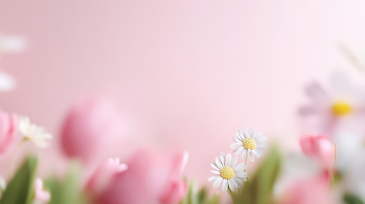 JPG 식물 편집이미지 꽃 행복 분홍색 컬러 백그라운드 자연 여름 햇빛 봄 향기 화사함 조화 뷰티풀 편집실사 AI포토 AI콘텐츠 계절 감정 컨셉 태양 CG 생태계 냄새 파일형식