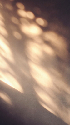 JPG 편집이미지 컬러 백그라운드 자연 나뭇잎 따뜻함 그림자 여름 빛 햇빛 구출 질감 흐림 오후 편집실사 AI포토 AI콘텐츠 계절 잎 날씨 태양 도움 CG 생태계 파일형식