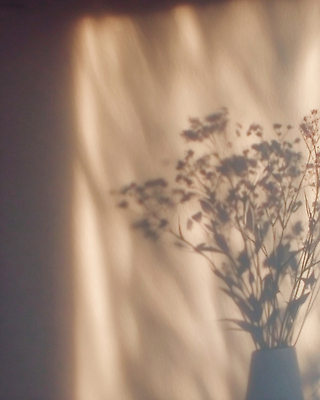 JPG 편집이미지 꽃 벽 꽃다발 잎 실내 따뜻함 그림자 빛 인테리어 분위기 편안함 창가 오브젝트 편집실사 AI포토 AI콘텐츠 식물 디자인 컨셉 창문 내부 감각 CG 파일형식